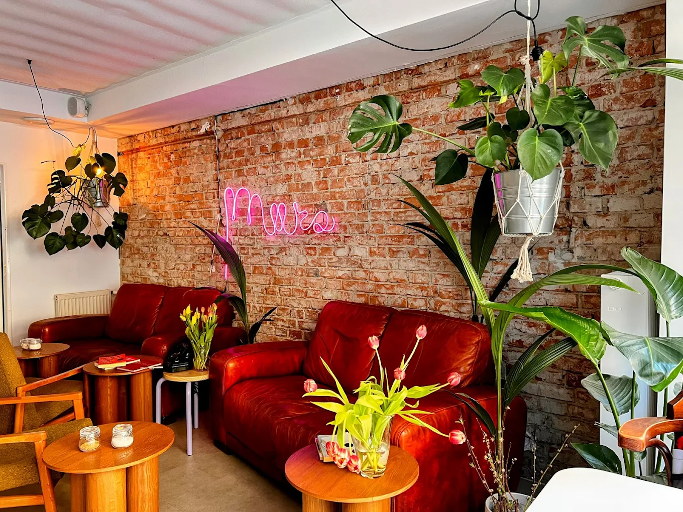 Café Múza v šálke